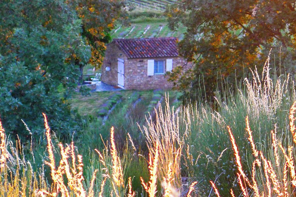 Quinta Das Lavandas Castelo de Vide Dış mekan fotoğraf